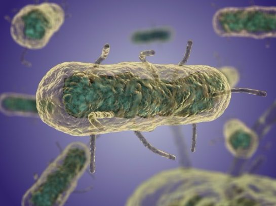 На МКС создали бактерии, на которые абсолютно не действуют антибиотики