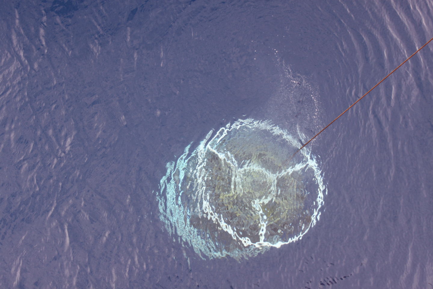 Истории из жизни IT-специалиста на судне, прошедшем вокруг Антарктики - 15 Истории из жизни IT-специалиста на судне, прошедшем вокруг Антарктики - 15