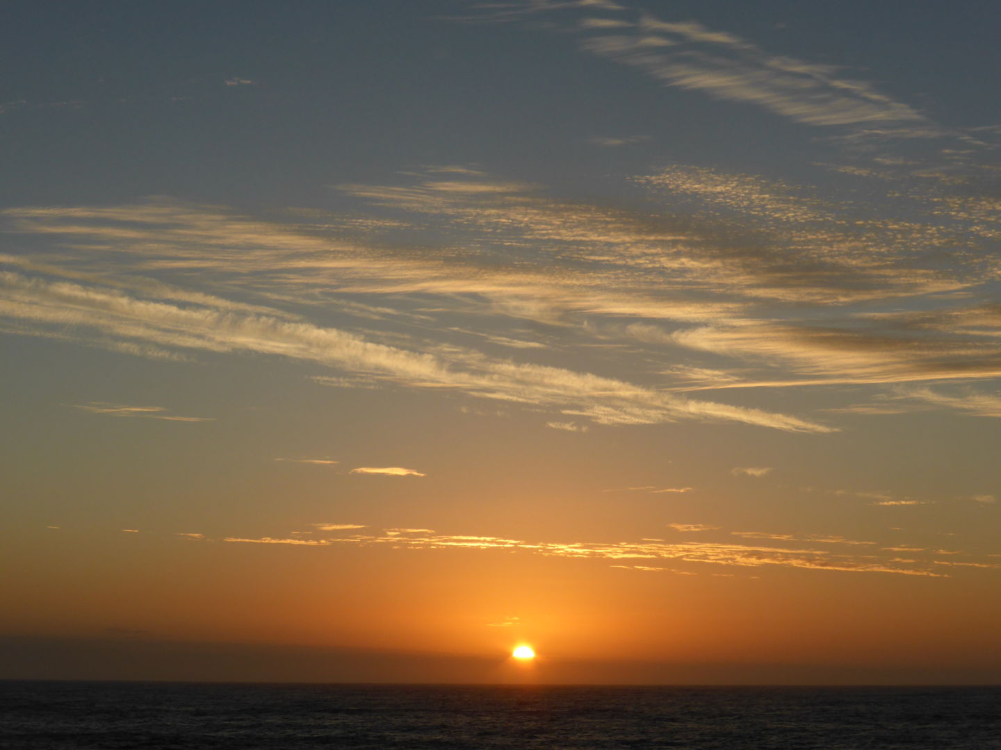 Истории из жизни IT-специалиста на судне, прошедшем вокруг Антарктики - 16 Истории из жизни IT-специалиста на судне, прошедшем вокруг Антарктики - 16