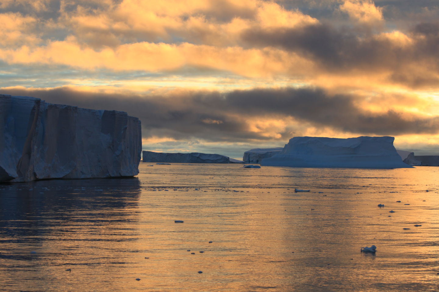 Истории из жизни IT-специалиста на судне, прошедшем вокруг Антарктики - 17 Истории из жизни IT-специалиста на судне, прошедшем вокруг Антарктики - 17