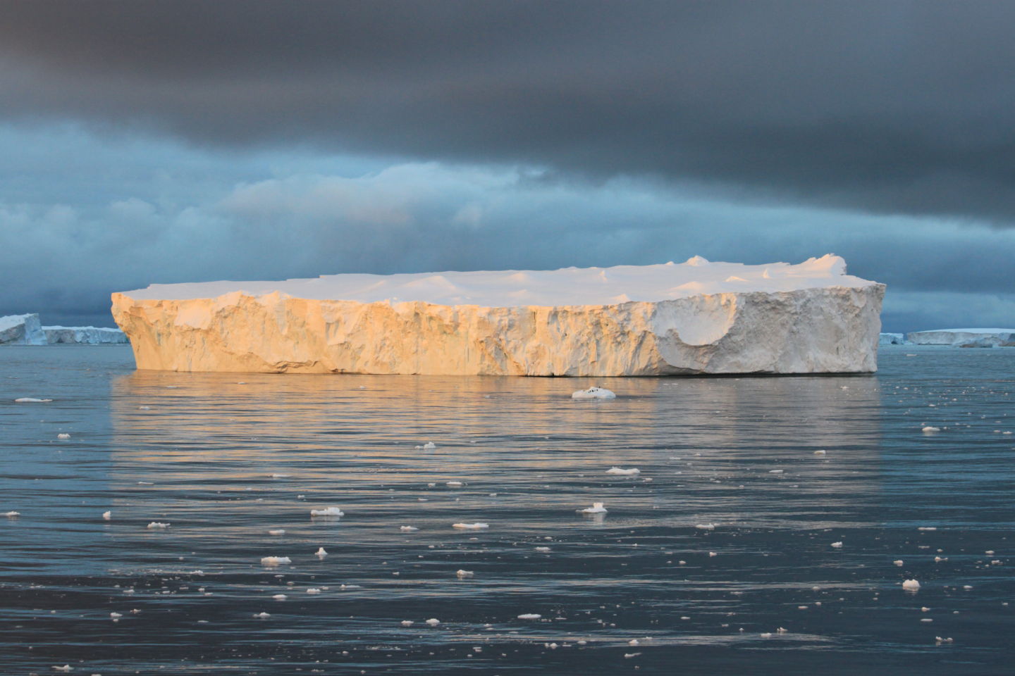 Истории из жизни IT-специалиста на судне, прошедшем вокруг Антарктики - 18 Истории из жизни IT-специалиста на судне, прошедшем вокруг Антарктики - 18