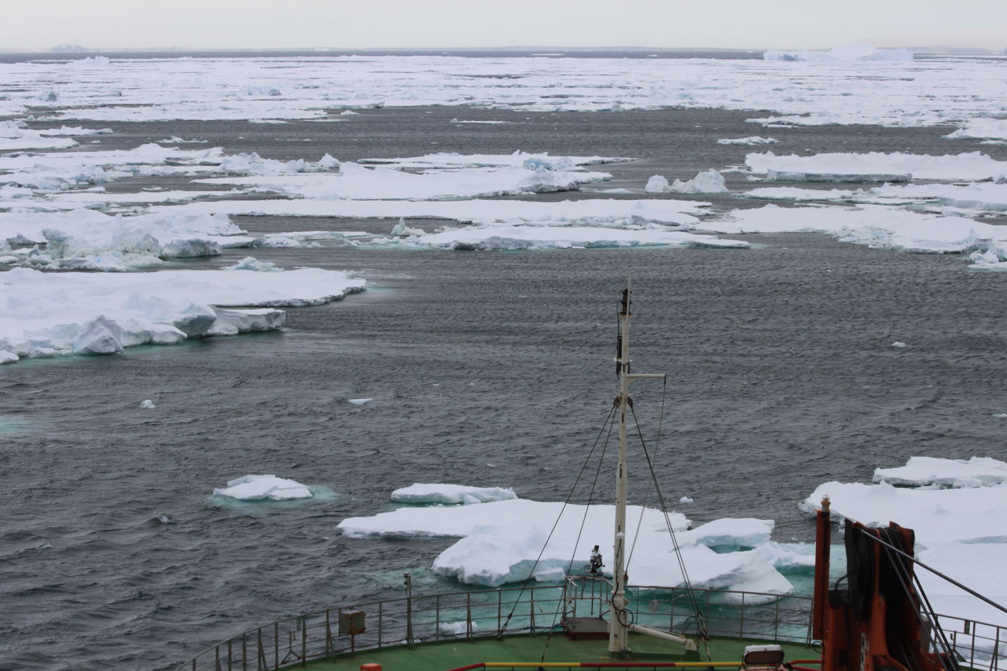 Истории из жизни IT-специалиста на судне, прошедшем вокруг Антарктики - 4 Истории из жизни IT-специалиста на судне, прошедшем вокруг Антарктики - 4