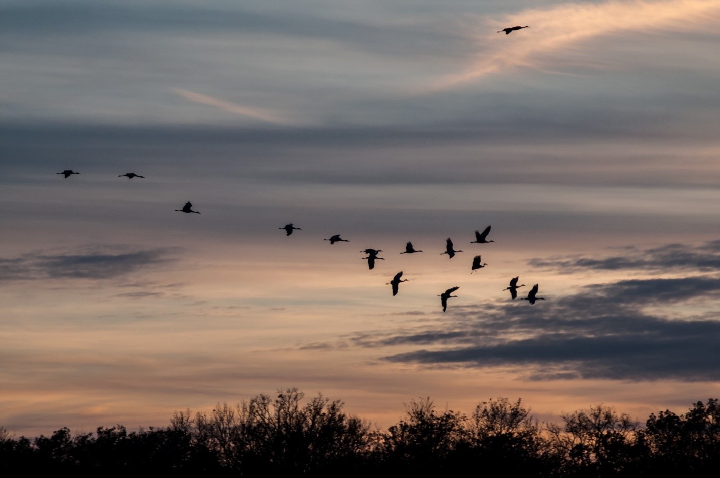 Как компании перенести свою инфраструктуру в облако и избежать ошибок - 1 Как компании перенести свою инфраструктуру в облако и избежать ошибок - 1