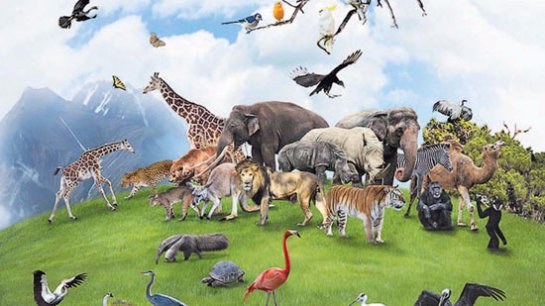 В 2100 году многие виды животных вынуждены будут исчезнуть с планеты