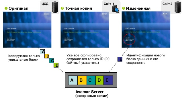 Avamar не копирует дважды - 13