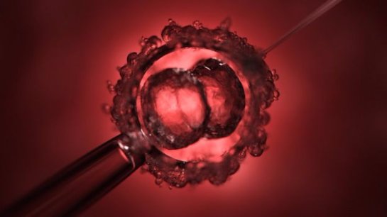 Операция ДНК на эмбрионах может устранить болезнь