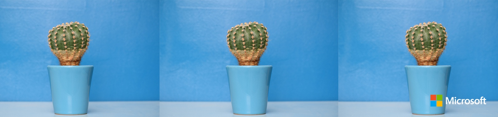 Как я проходил сертификацию в Xamarin University - 1 Как я проходил сертификацию в Xamarin University - 1