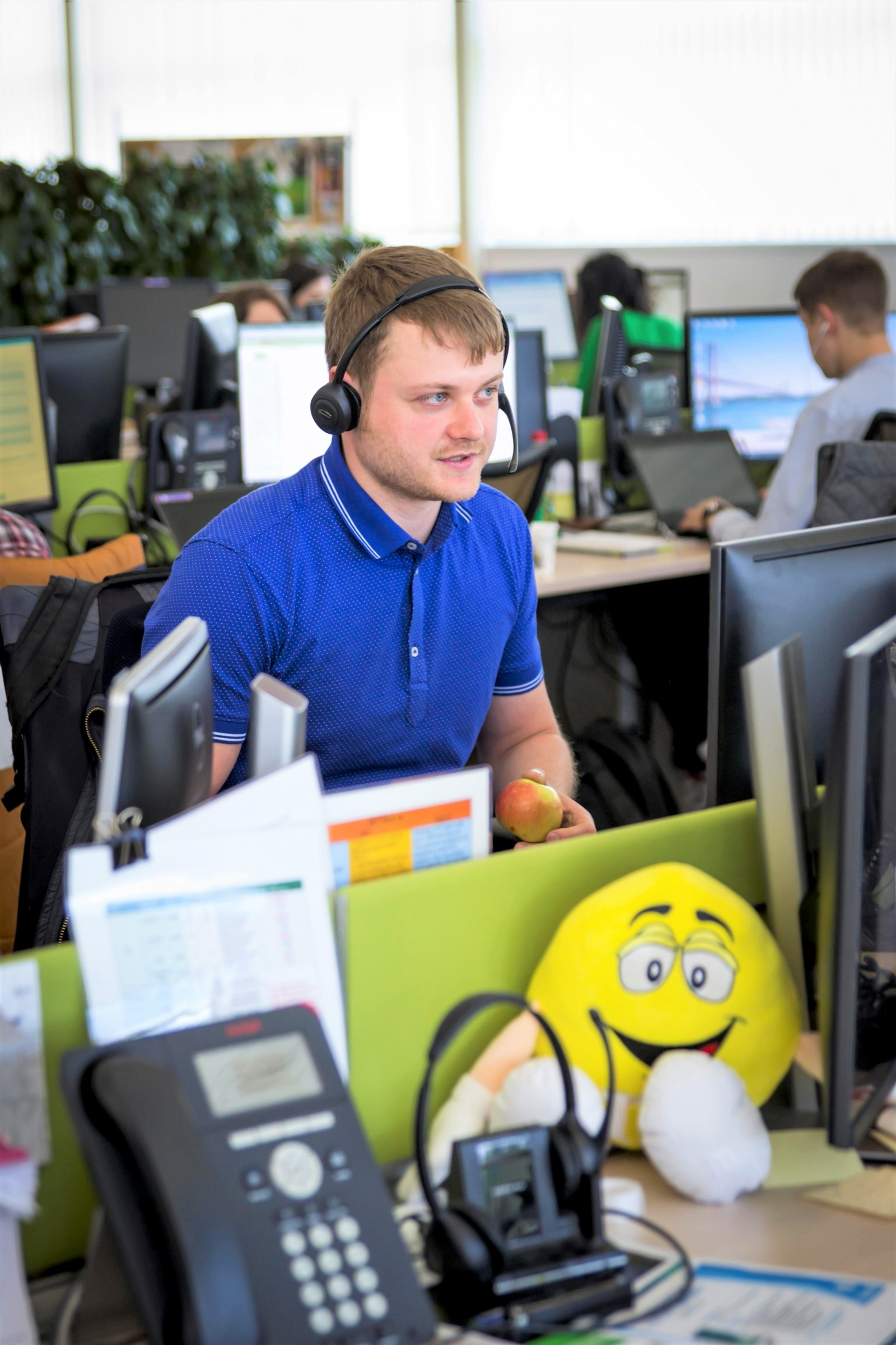 Интеграция в Mars IS службы Сервис-Деск Royal Canin - 2 Интеграция в Mars IS службы Сервис-Деск Royal Canin - 2