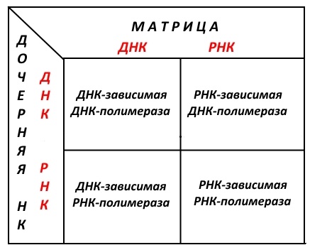 Как победить вирус? Часть 2 - 4