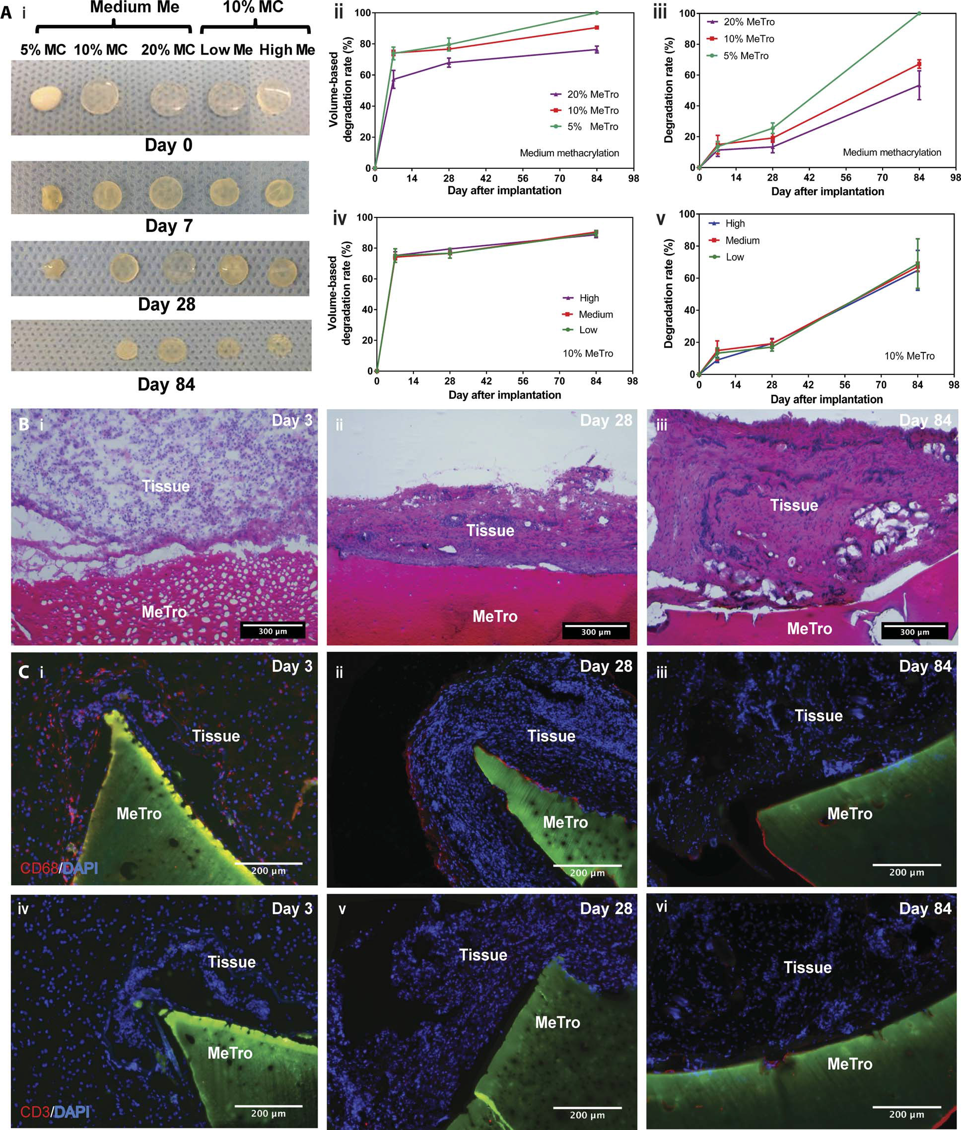 Создан первый биогель-герметик, который заживляет раны без швов - 3