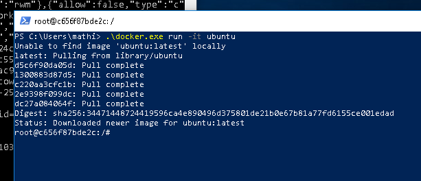 Запуск контейнеров с Ubuntu на Windows - 14