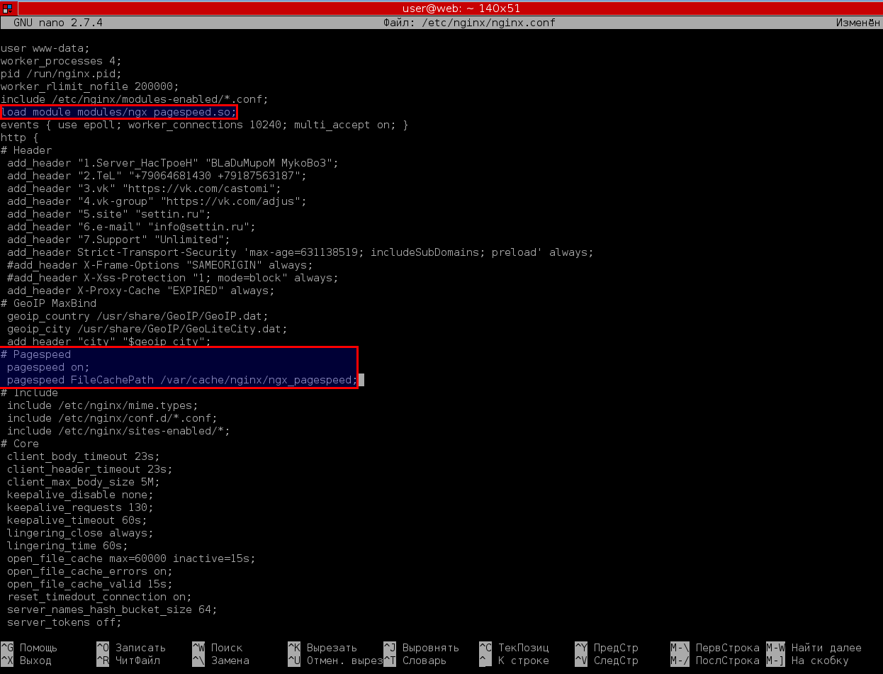 Инструкция как скомпилировать динамический модуль ngx_pagespeed для Nginx на Debian - 3 image