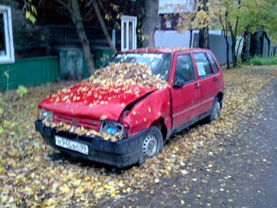 Цветы, муха и хорошо отрепетированное случайное машинное обучение - 2