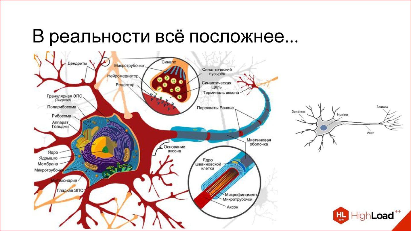 Введение в архитектуры нейронных сетей - 4