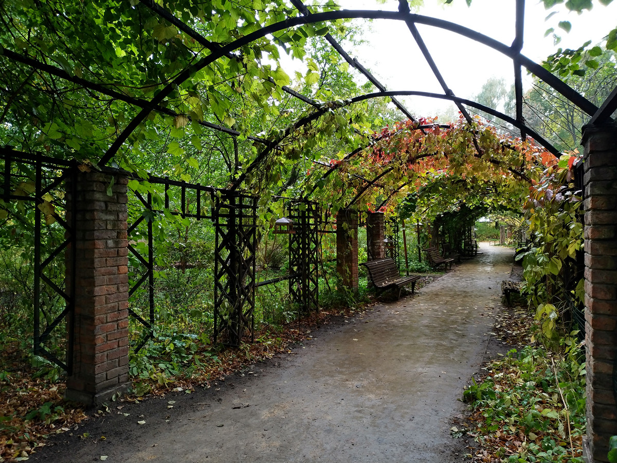 Обзор смартфона ASUS ZenFone 4 - 42