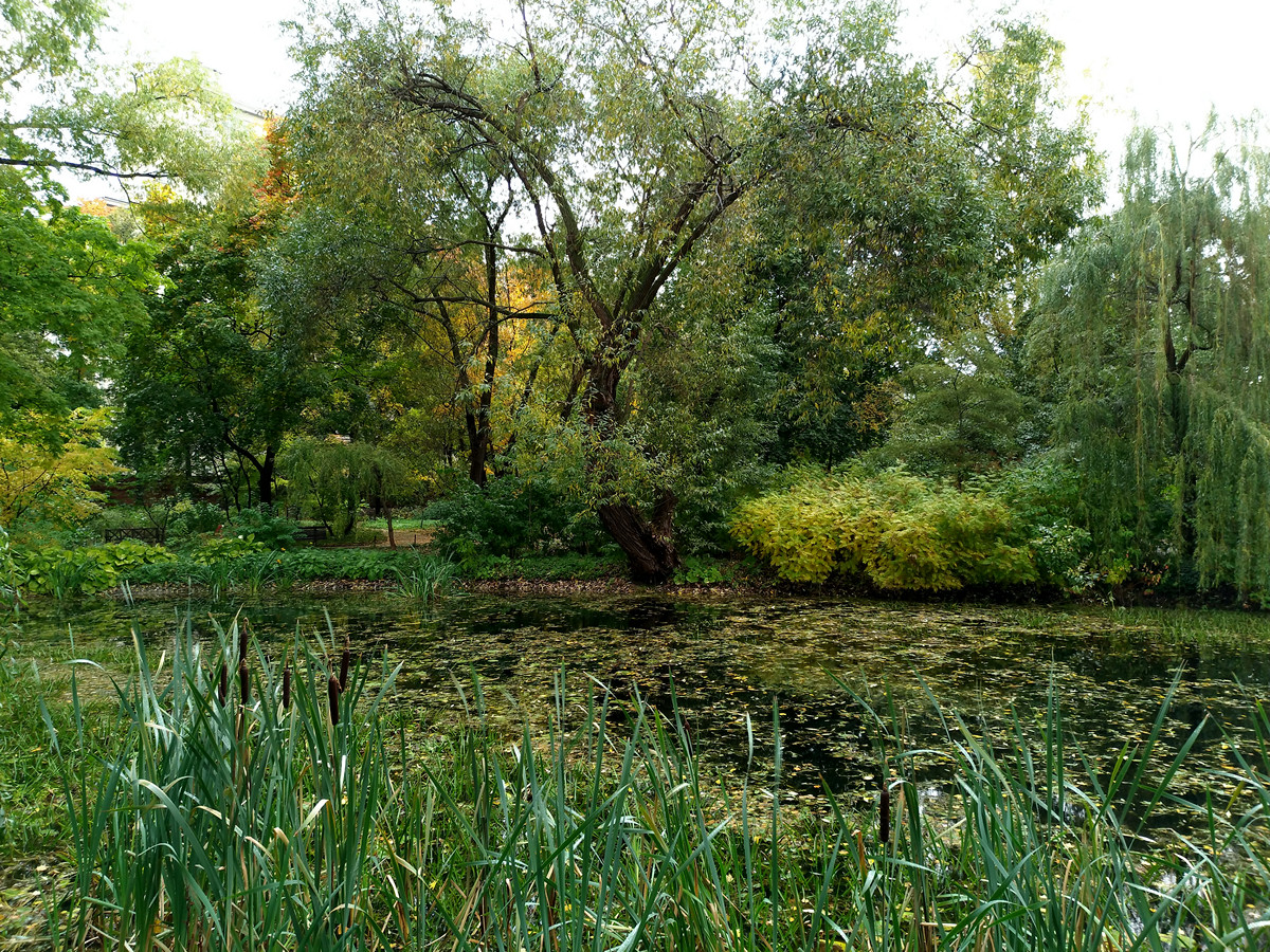 Обзор смартфона ASUS ZenFone 4 - 44