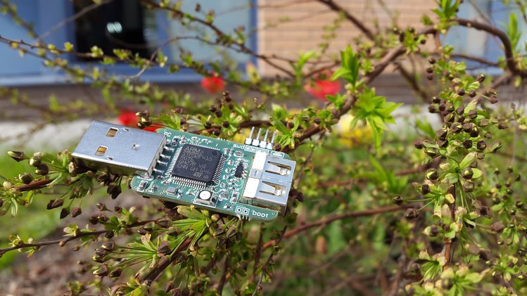 Пастильда: нишевый краудфандинг - 8