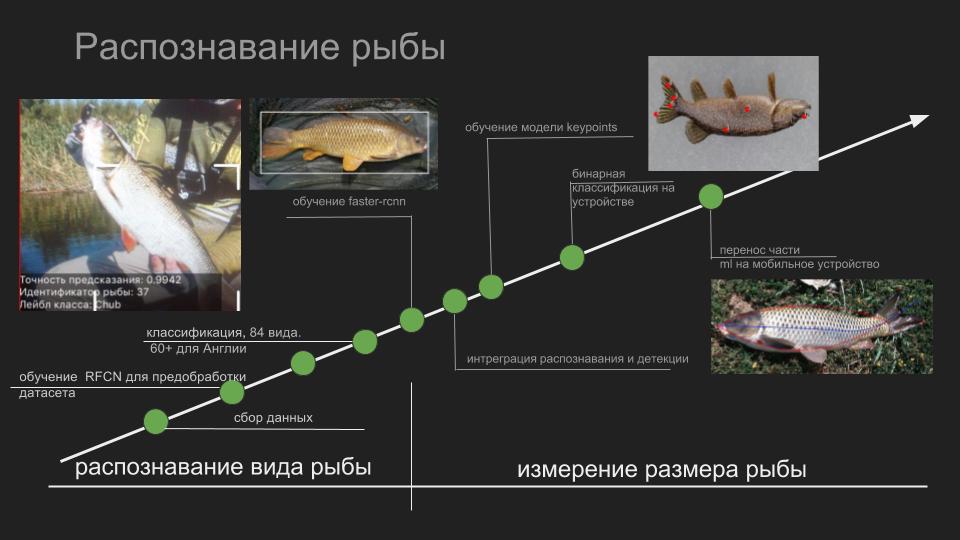 Умные сети для рыбаков: как мы учили смартфоны распознавать рыбу - 2