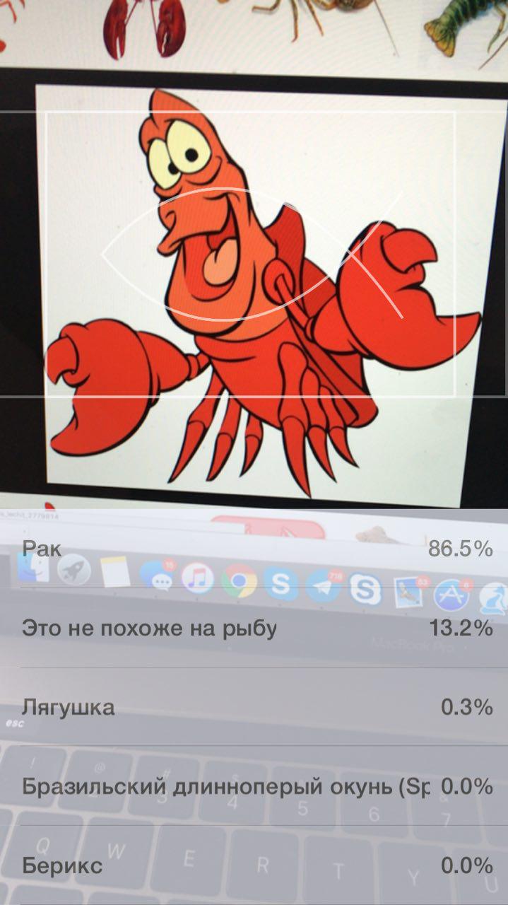 Умные сети для рыбаков: как мы учили смартфоны распознавать рыбу - 8