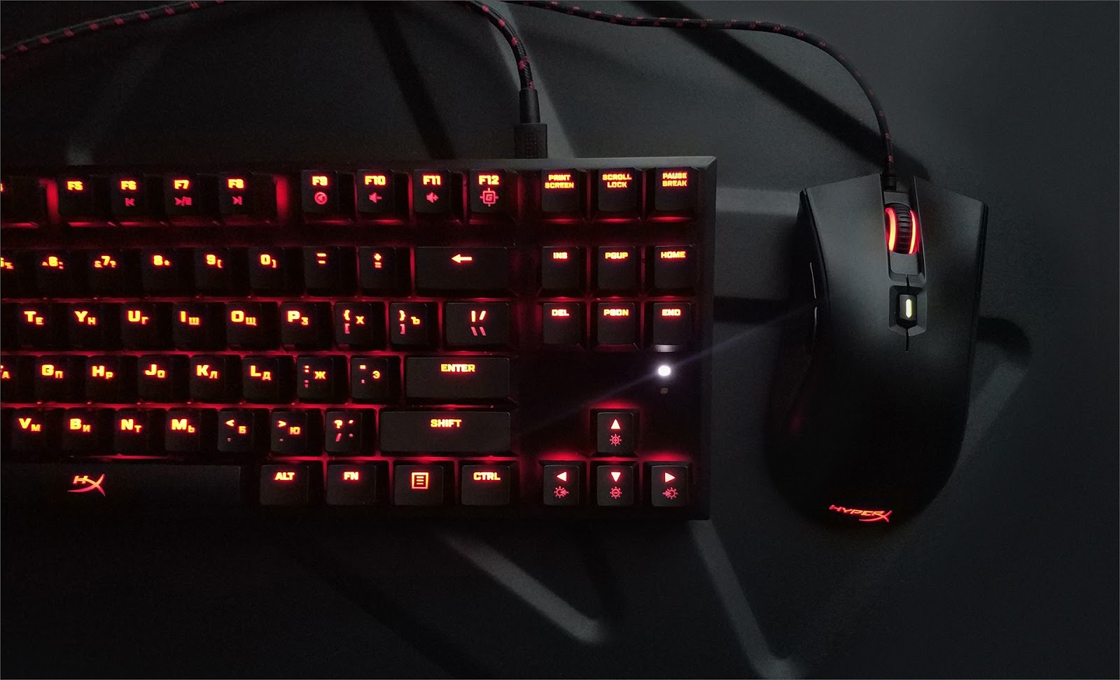 HyperX Alloy FPS Pro: tenkeyless-дизайн классической механики для любителей качественной периферии - 4