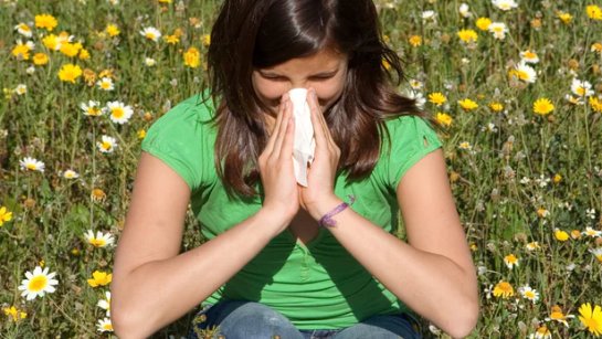 Выявлено более 100 генетических факторов риска развития астмы, сенной лихорадки и экземы