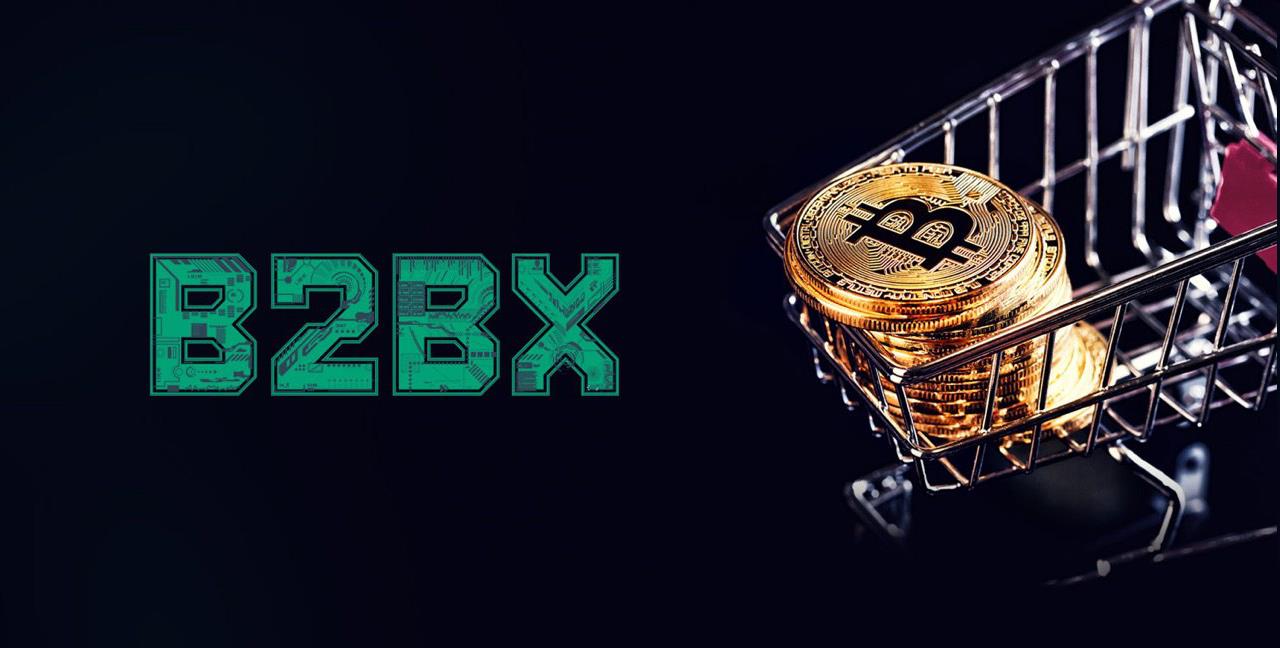 B2BX: экономика ICO и основные направления расходования средств инвесторов B2BX - 1