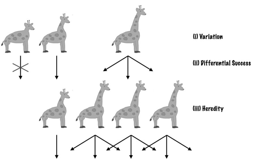 Инопланетяне по Дарвину - 2 Инопланетяне по Дарвину - 2