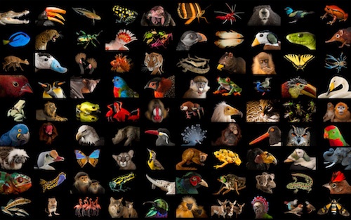 Вредоносное ПО, вошедшее в историю. Часть II - 2 Вредоносное ПО, вошедшее в историю. Часть II - 2