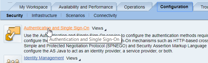 Настройка аутентификации в SAP Netweaver AS Java (Часть 1 из 3) - 8