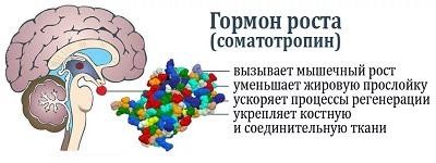 Генная терапия старения vs фармакология - 7