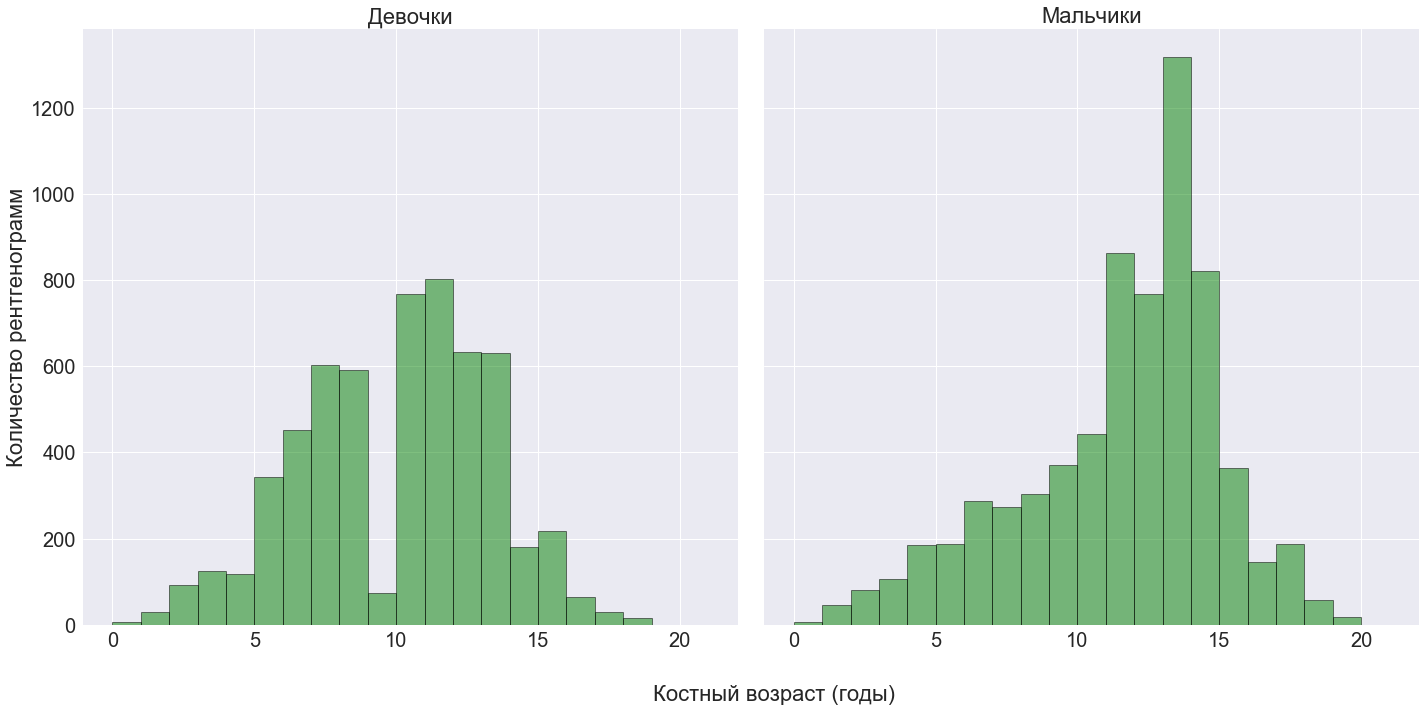 Pediatric Bone Age Challenge. Deep Learning и много, много костей - 3