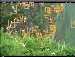 Обнаружение птиц с помощью Azure ML Workbench - 18