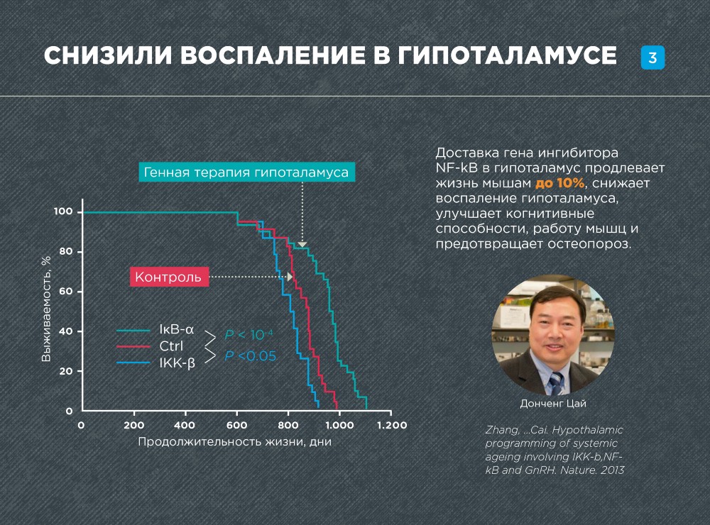 Штурм и натиск генной терапии старения - 19