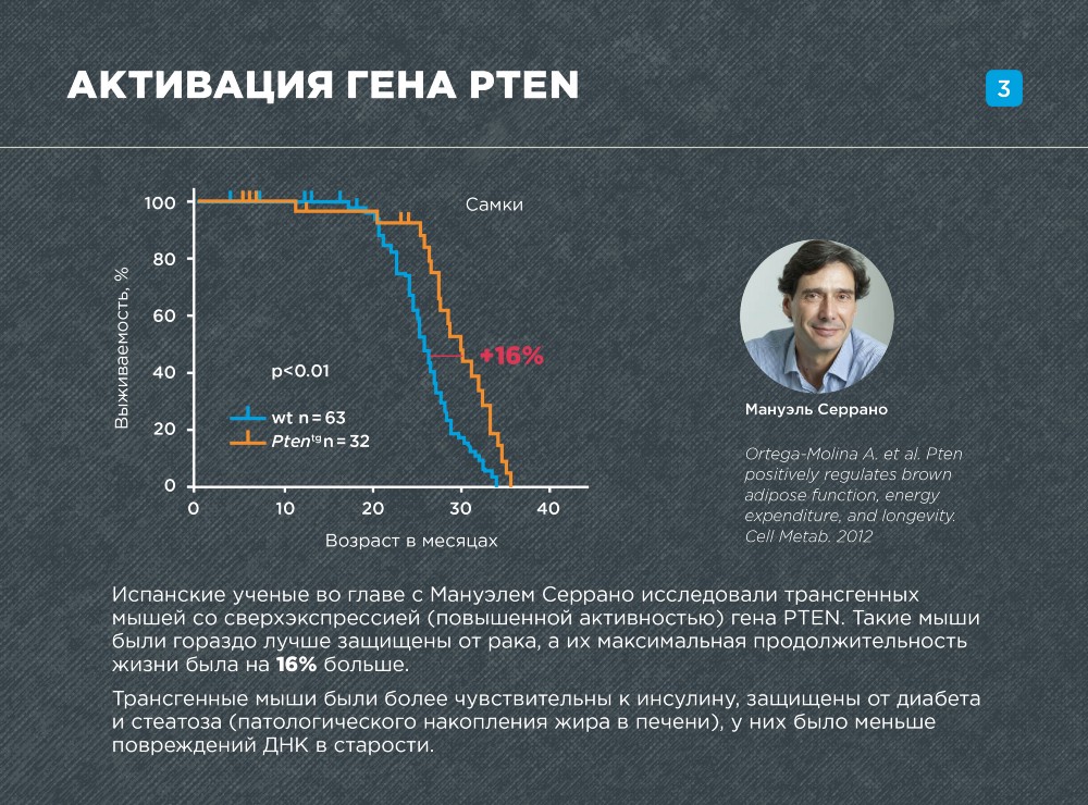 Штурм и натиск генной терапии старения - 24