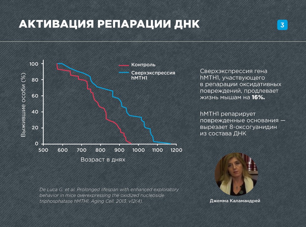 Штурм и натиск генной терапии старения - 28