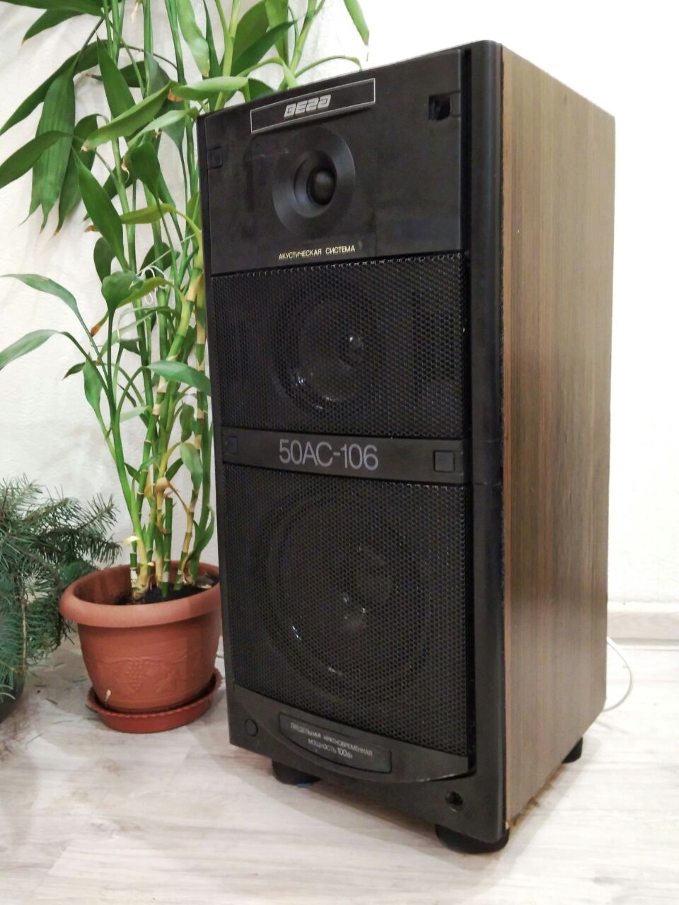 Восстановление и модернизация колонок Вега 50АС-106 - 15