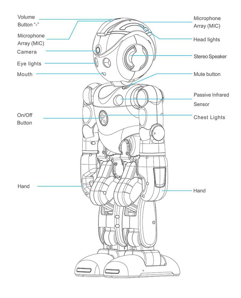 Человекоподобный робот под управлением Alexa за 800$ получился не размером с человека. Жаль… - 3