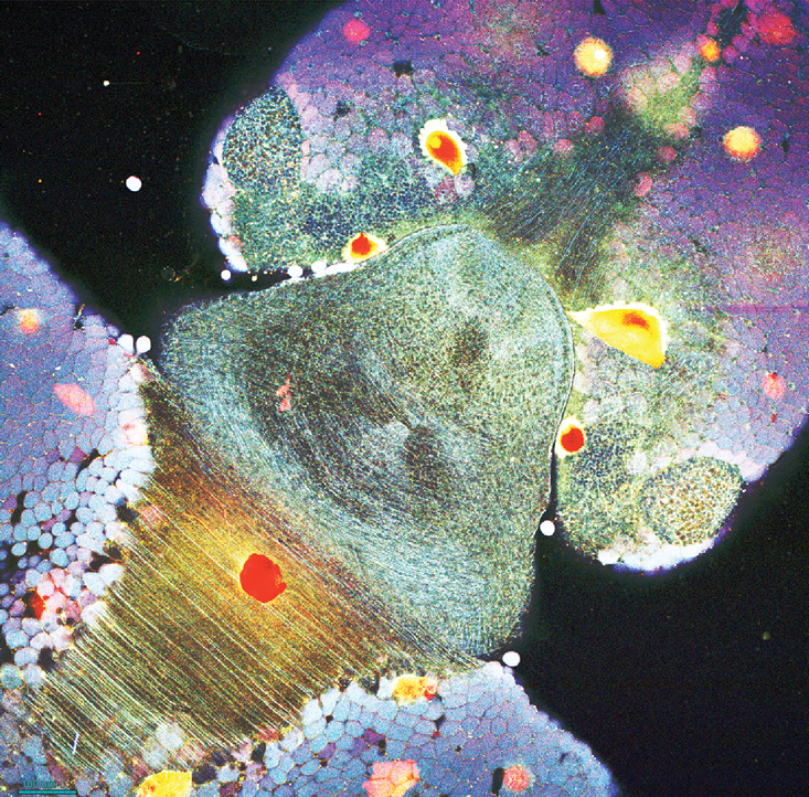 Я не чудовище - 5 Я не чудовище - 5