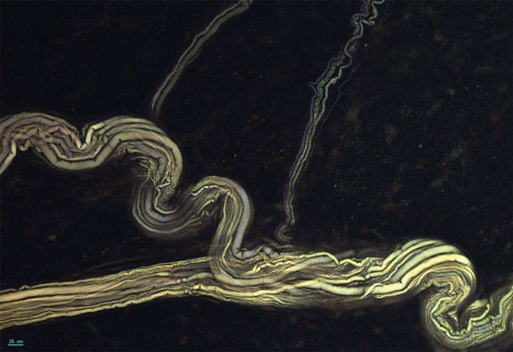 Я не чудовище - 6 Я не чудовище - 6