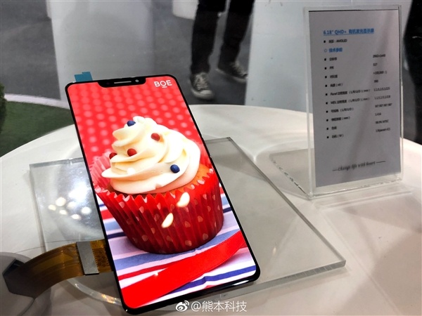 BOE показала шестидюймовый дисплей AMOLED, похожий на экран iPhone X