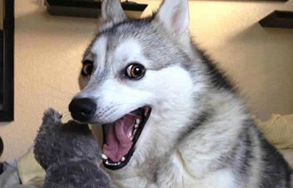 Поле боя — дополненная реальность. Часть II: как распознать объект и показать 3D модель - 11 image