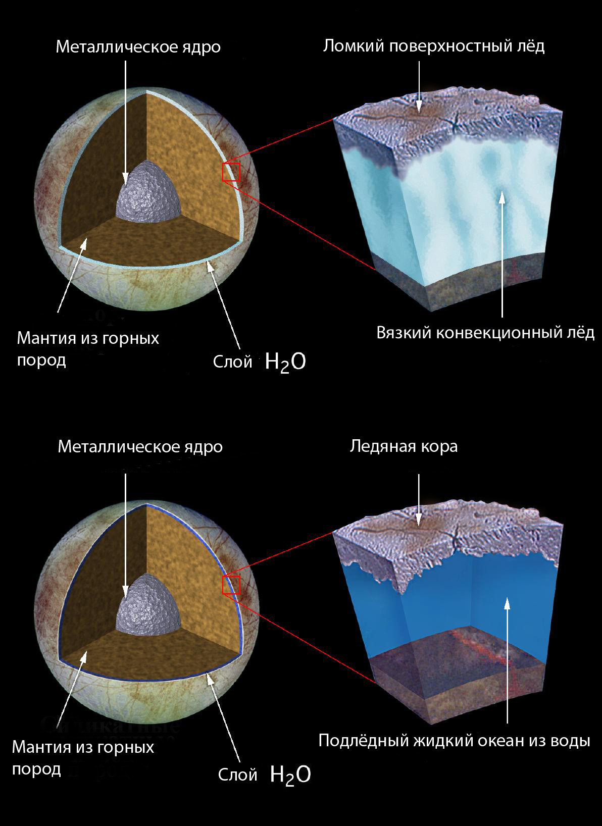 Поиск жизни в Солнечной системе - 5