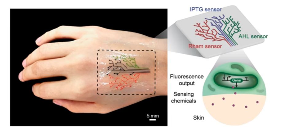 Датчик из живой татуировки не за горами - 1 Датчик из живой татуировки не за горами - 1