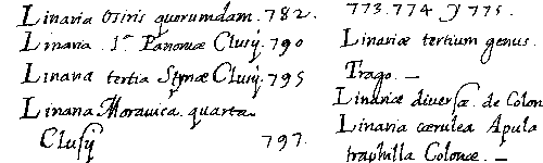История победы на международном соревновании по распознаванию документов команды компании SmartEngines - 26 История победы на международном соревновании по распознаванию документов команды компании SmartEngines - 26