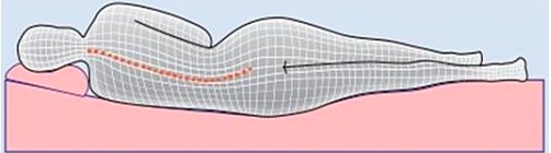 Позвоночник гика, или Матрас, на котором мы спим, не менее важен, чем кресло, в котором мы работаем - 4 Позвоночник гика, или Матрас, на котором мы спим, не менее важен, чем кресло, в котором мы работаем - 4