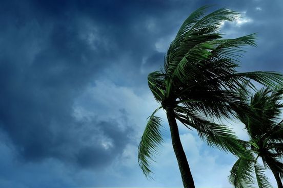 10 самых важных английских слов 2017 года по версии Merriam-Webster - 9 image