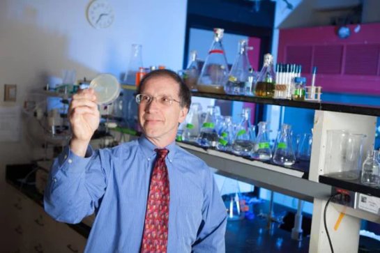 Синтетический фермент может стать катализатором искусственной жизни Синтетический фермент может стать катализатором искусственной жизни