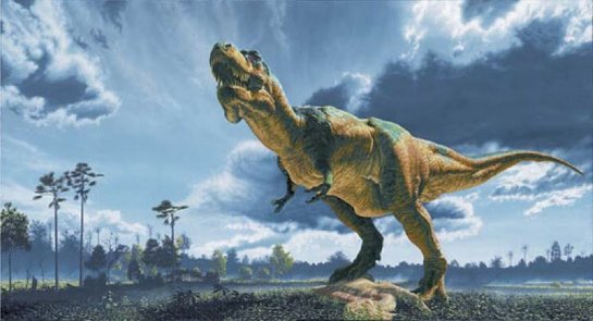 На территории Красного моря когда-то жили динозавры