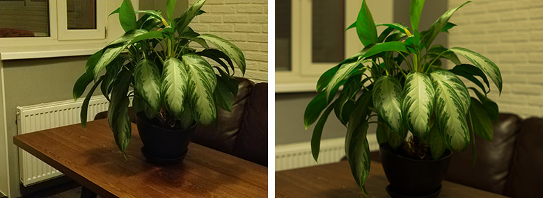 Честное сравнение камеры телефона и зеркального фотоаппарата - 5 Честное сравнение камеры телефона и зеркального фотоаппарата - 5