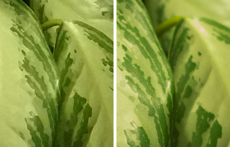 Честное сравнение камеры телефона и зеркального фотоаппарата - 6 Честное сравнение камеры телефона и зеркального фотоаппарата - 6